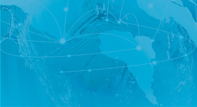 Imagen perfil diplomado